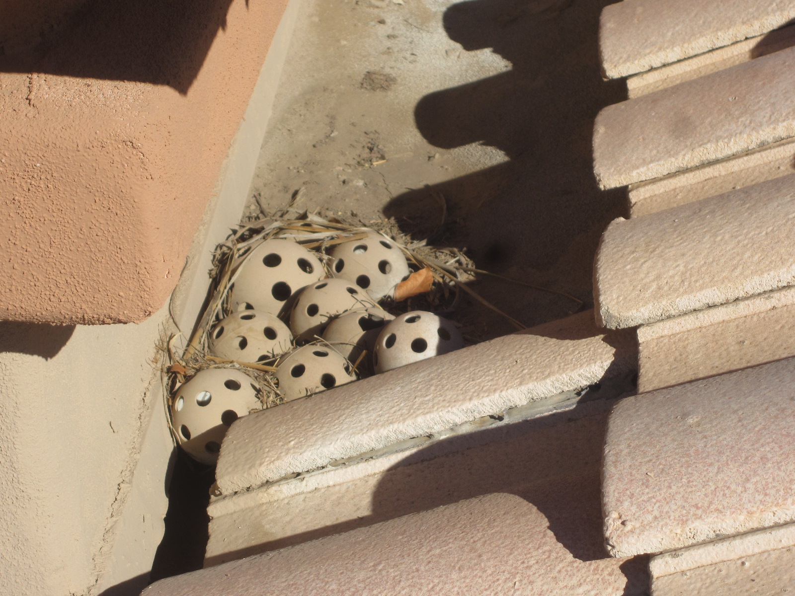 Plastic Ball Dam Atkison Inspection Service, Inc.